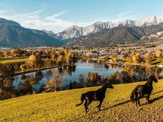 Herbst2019_Ritzensee_19_MichaelGeißler