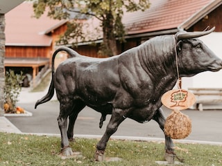 Stier_Bauernherbst