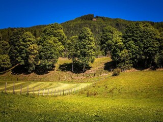 20190904_SchlickenhofAussen_006