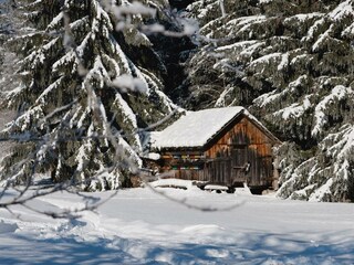 WiesenbauerWINTER (9 von 24) klein