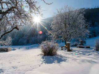 WiesenbauerWINTER (4 von 24) klein