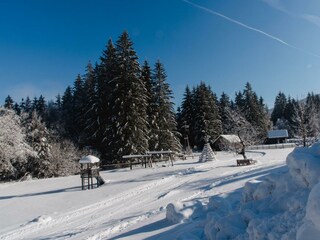 WiesenbauerWINTER (8 von 24) klein