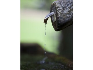 Garten_Hedda_03