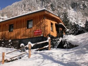 Apartment Ferien-Alm, Schitter - Mauterndorf - image1