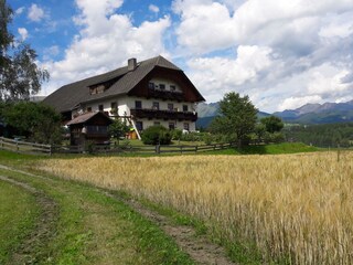 Sommerfoto