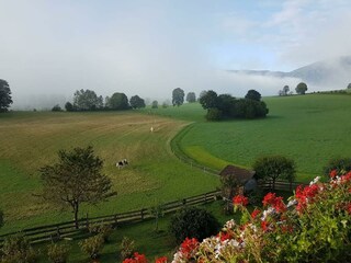 Balkonblick Sommer