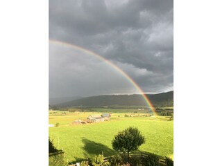 Regenbogen