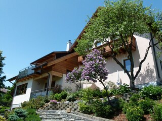 Hausfoto Sommer 2
