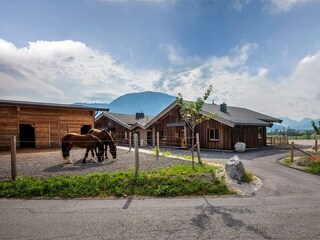 Pferdekoppel Narzenhof