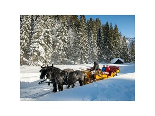 romantische Pferdeschlittenfahrt