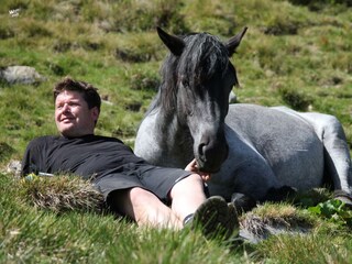 Noriker entspannen einfach