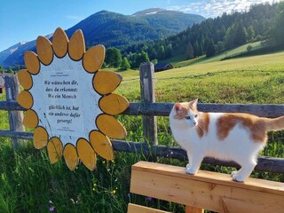 Im Dorf der guten Wünsche