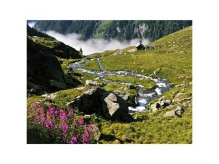 Greifenberg Pöllahöhe (35)#001