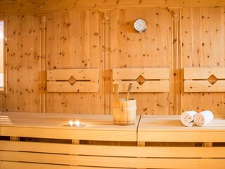Wellness Sauna