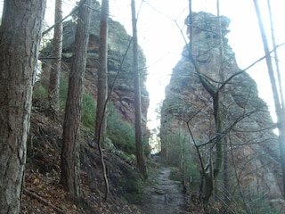 Bilder von der Geierstein-Tour