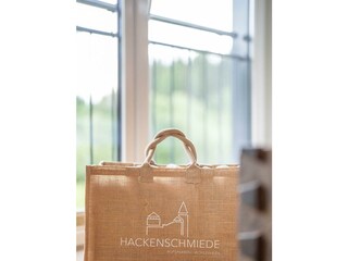 apartment-hackenschmiede-apartments-17