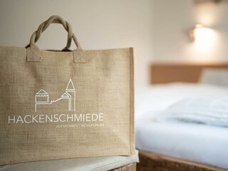 apartment-hackenschmiede-apartments-65