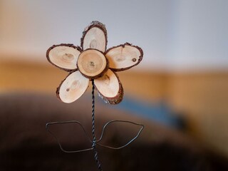 Bergnest_Public-2