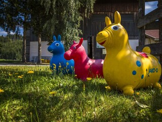 20180809_SchoberhofAussen_102_klein