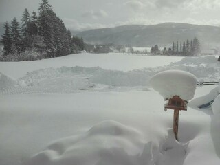 Hochwinter