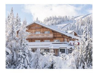 f84c1f95-ba07-47f3-8ef5-6800a7ef806f