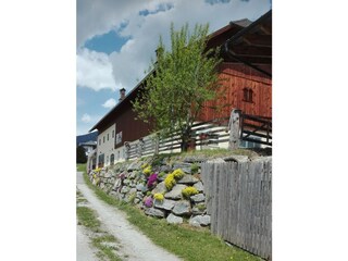 blühende Steinmauer beim Stall