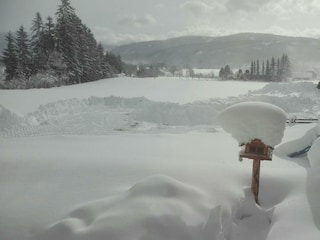Hochwinter