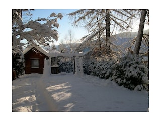 Garten im Winter