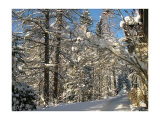 Garten im Winter