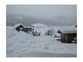 DSCN0142
