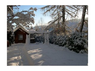 Garten im Winter