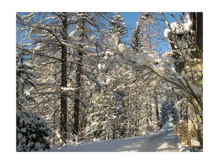 Garten im Winter