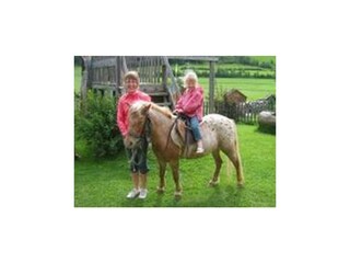 Kinder beim Reiten II