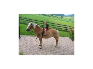 282039_122527214510154_7488827_n