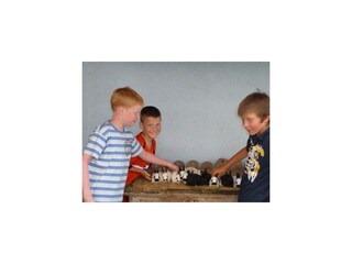 267238_122527264510149_965232_n