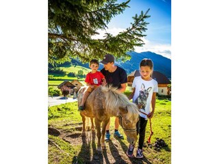 20160823_HansalagutAussen_335