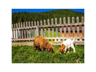 20160823_HansalagutAussen_125