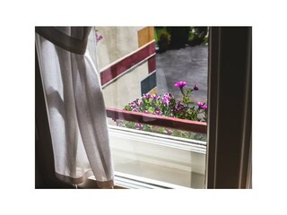 Blick aus dem Fenster