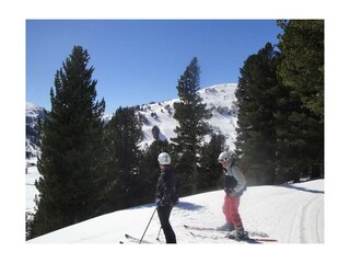 im Zirbenwald