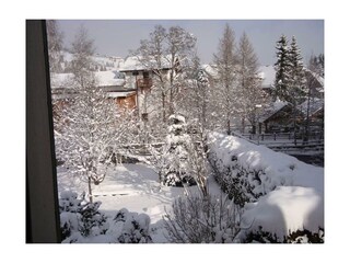 Blick aus dem Fenster