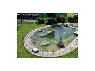 Naturbadeteich in Örgi's Kinderwelt