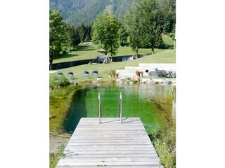 beheizter Schwimmteich im Sommer