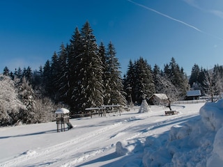 WiesenbauerWINTER (8 von 24) klein
