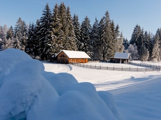 WiesenbauerWINTER (19 von 24) klein