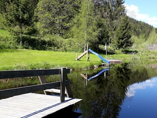 Teich für deskline verkleinert