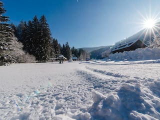 WiesenbauerWINTER (14 von 24) klein