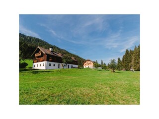 Wiesenbauer Ansicht k