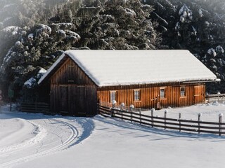 WiesenbauerWINTER (3 von 24)