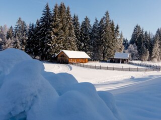 WiesenbauerWINTER (19 von 24) klein