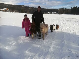 Unser kleiner Winterwanderweg